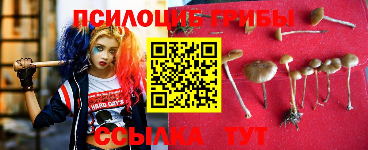 Галлюциногенные грибы мицелий  Вход с VPN  Кировск 